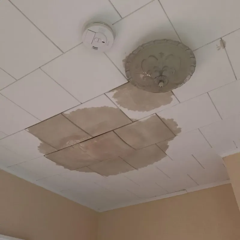 Ceiling Water Damage Repair in Flushing, MI