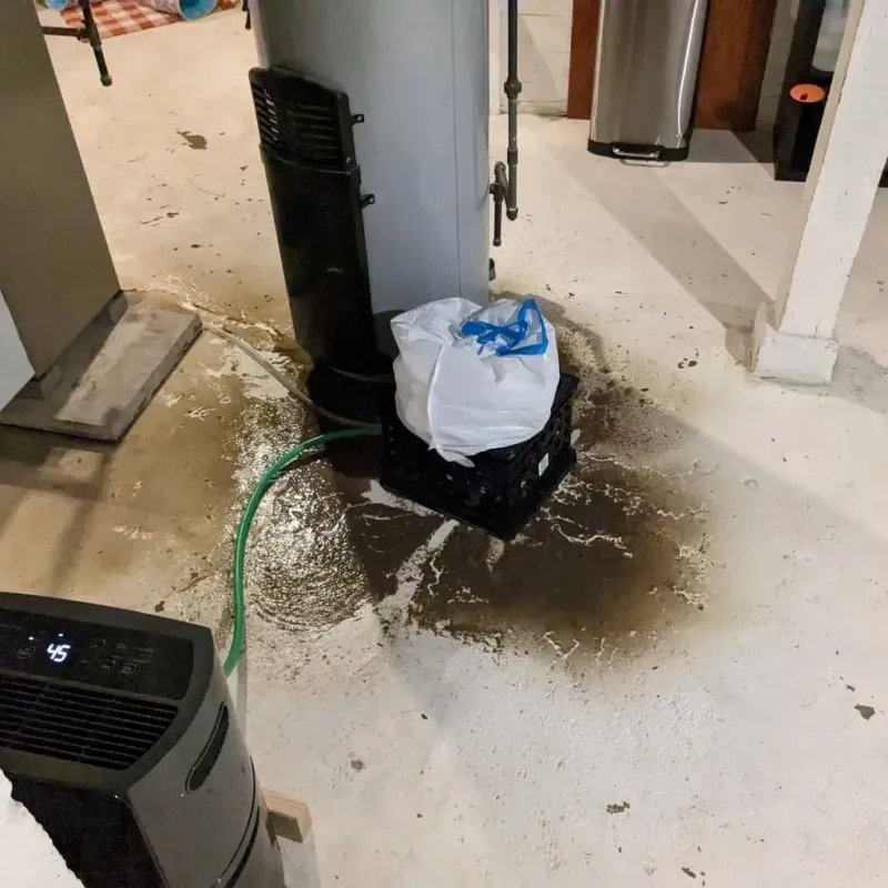 Sewage Backup Cleanup Service in Flushing, MI